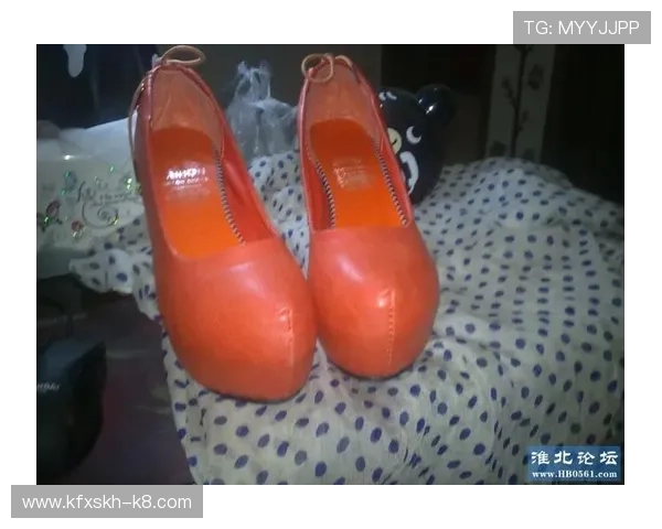 凯发网网站登录入口官方平台功能介绍与使用指南