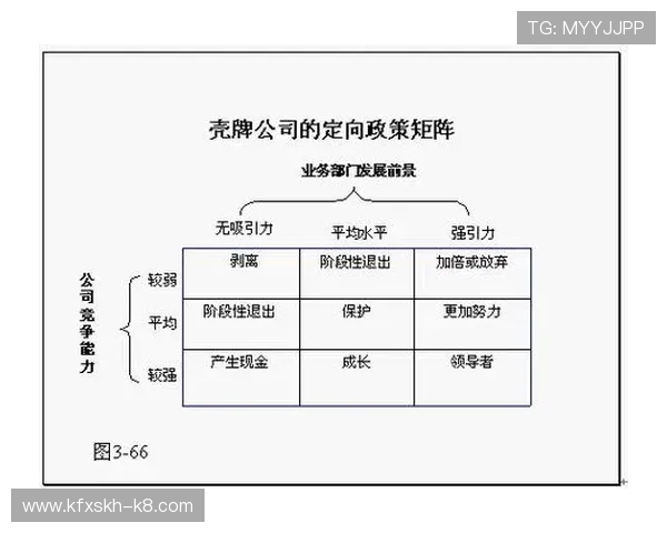 如何利用PA集团代理资源推动企业产品在市场中的快速扩展