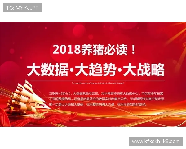 探究奇发体育的品牌价值与市场竞争力分析