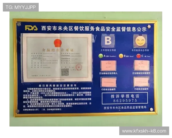 凯发k8网站安全保障措施，保障用户资金与个人信息安全的最佳选择