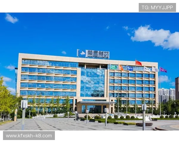 凯发电脑版官网首页最新版本下载安装指南，全面介绍凯发电脑版官网首页的功能与使用技巧